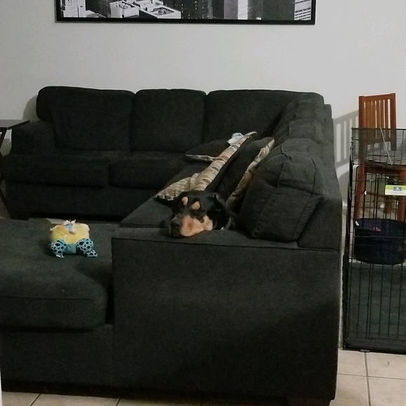 Meet your Posher, Michelle - Picture 1 of 1